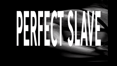 14563 - EROTIC AUDIO - PERFECT SLAVE