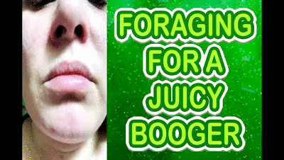 26636 - FORAGING FOR A JUICY BOOGER